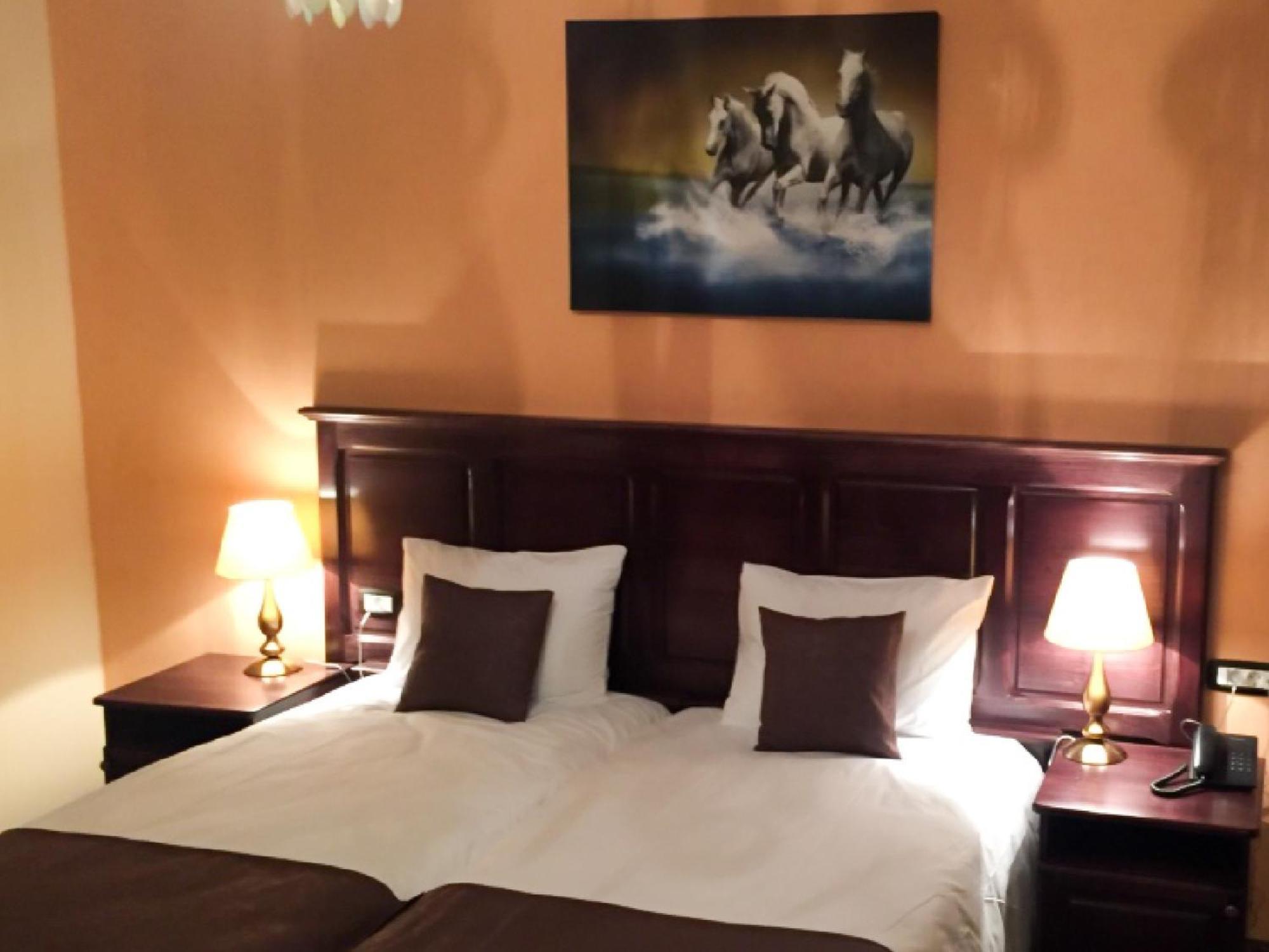 Laura Holiday Hotell Brăila Rum bild